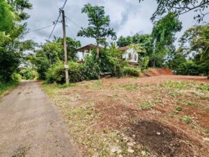 දිවුලපිටිය වටිනා ඉඩමක් විකිණීමට