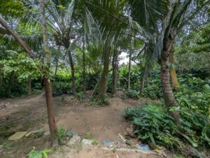 කඩවත අධිවේගී පිවිසුමට ළගින්ම ව්‍යාපාරික ඉඩමක්