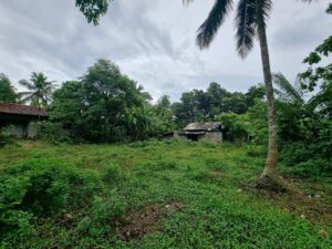 Land for sale in veyangoda
