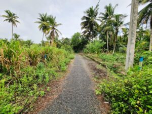 බස් පාරට 500m දුරින් ඉඩමක්