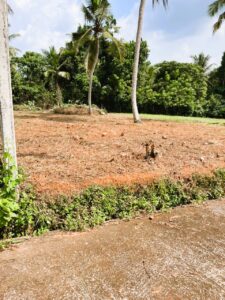 උඩුගම්පොල නගරයට ළගින් ඉඩමක්