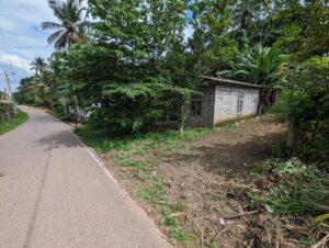 පර්චස් 07 පොල් ගස් සහිත ඉඩමක් විකිණීමට