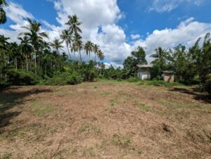 කලගෙඩිහේන  මගලෙගොඩ බස් මාර්ගයට මායිම්ව පොල් ඉඩම හා නිවස