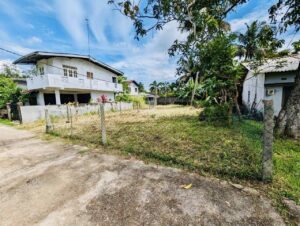 මීගමුව–කොළඹ ප්‍රධාන මාර්ගයට මීටර් 500 දූරියන් ඉඩමක්
