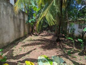 රාගම තේ වත්ත පල්ලිය අසලින් බිම් කොටසක්