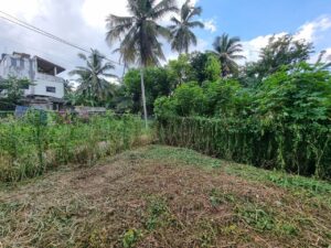 ජා-ඇල නගරයට 500 m දුරින් වටිනා නේවාසික බිම්කොටසක්