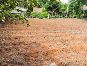 ජා ඇල කදාන නගර සීමාවට ළගින් ඉඩමක්