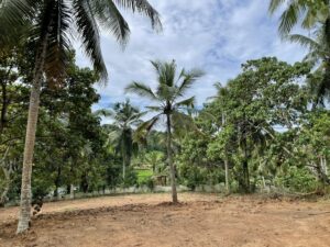 Land for sale in kirindiwela