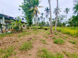 නුවර පාරට ළගින්ම වටිනා ඉඩමක්