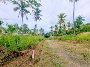 නුවර පාර ළගින් වටිනා ඉඩමක්