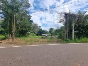 වේයන්ගොඩ – කීනවල බස් පාරට මුහුණලා බිම් කොටසක් ඉක්මණින් විකිණීමට