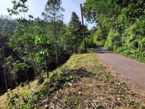 අල්ගම නගරයට ළගින් ම ඉඩමක්