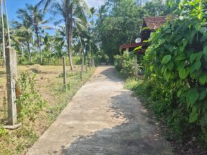 වෙල්යායකට මායිම්ව බිම් කොටසක්