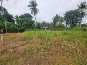 මීගමුව ප්රධාන පාරට ළගින් ඉඩමක්