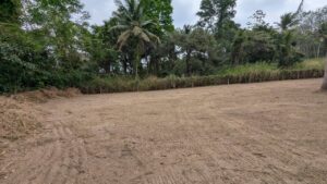 සුපිරි වෙල් යායට මුහුණලා ඇති වටිනා ඉඩමක් විකිණීමට