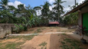 කුඩා නිවසක් සමග වටිනා බිම් කොටසක් විකිනීමට