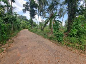 නිට්ටඹුව – වතුපිටිවල පර්චස් 6 ඉඩම ඉක්මනින් විකිණීමට