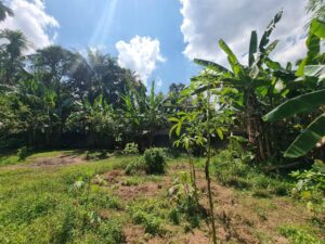 පාරවල් දෙකකට මුහුණලා සුපිරි ඉඩමක්