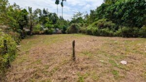 හෝමාගම නගර මධ්‍යයෙන්ම වටිනා ඉඩමක්