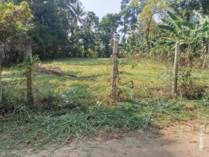 නුවර පාරට ඇවිදින දුරින් බිම් කොටස් දෙකක්