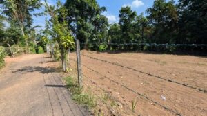 වෙල්යායකට මුහුණලා සුපිරි ඉඩමක් විකිණීමට