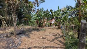 යක්කල නගරයට ඇවිද යන දුරින් වටිනා මිලකට බිම් කොටස් දෙකක්