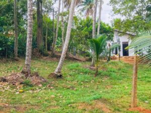 Land for sale in gampaha