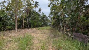 Land for sale in ganemulla