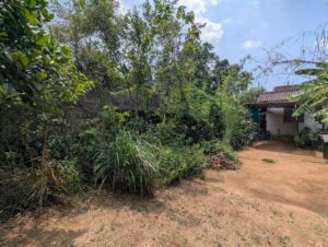 ‎හංවැල්ල ආටිගල ප්‍රධාන මාර්ගයට මුහුණලා  ව්‍යාපාරික ගොඩනැගිල්ලක්