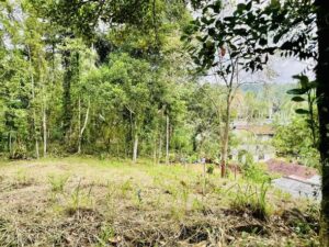 Land for sale in radawadunna