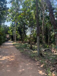 Land for sale in nittambuwa