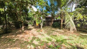 නිට්ටඹුව වතුපිටිවල වටිනා ඉඩමක් විකිණීමට