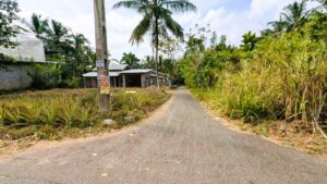 ගම්පහ කිරිදිවැල 205 බස් මාර්ගය පේන දුරින් පර්චස් 14.9 ක ඉඩම