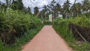 Land for sale in Diulapitiya