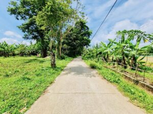 Land for sale in gampaha