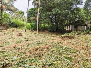 Land for sale in Nittambuwa