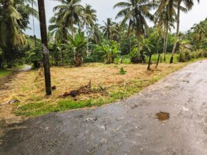 Land for sale in Panawala
