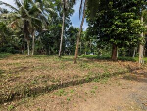 Land for sale in wathurugama