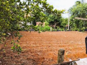 Land for sale in kandana