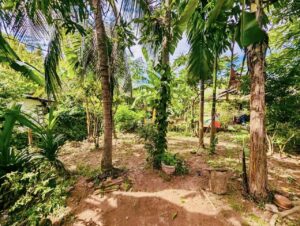 Land for sale in kadawatha
