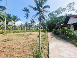 Land for sale in mirigama
