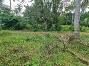 කුරුණෑගල  මීගමුව මාර්ගයට ආසන්නයේ නේවාසික බිම්කොටසක් විකිණීමට