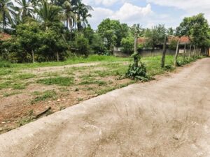 ලයිසියම් පාසලට ළගින් ඉඩමක්