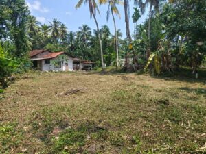 වෙල් යායකට මායිම්ව ඉඩමක්