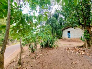 කාපට් පාරට මුහුණලා වටිනා ව්‍යාපාරික ස්ථානයක් විකිණීමට