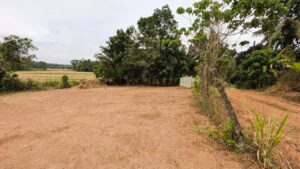 Land for sale in Nittambuwa