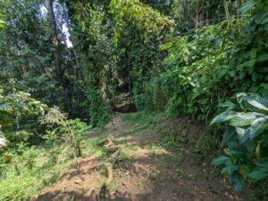 Land for sale in kandy