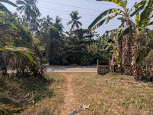 Land for sale in veyangoda
