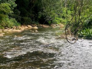 කිරිදි ඔයටත්,වෙල් යායටත් මායිම් ඉඩමක්