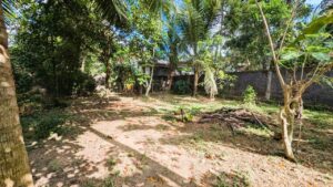Land for sale in Nittambuwa